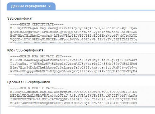 2018 01 12 11 25 36 500x367 - Установки SSL сертификата на wordpress. Перенаправление на HTTPS
