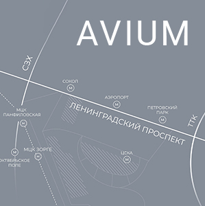 AVIUM3 1 - Портфолио по созданию веб-сайтов. Наши работы