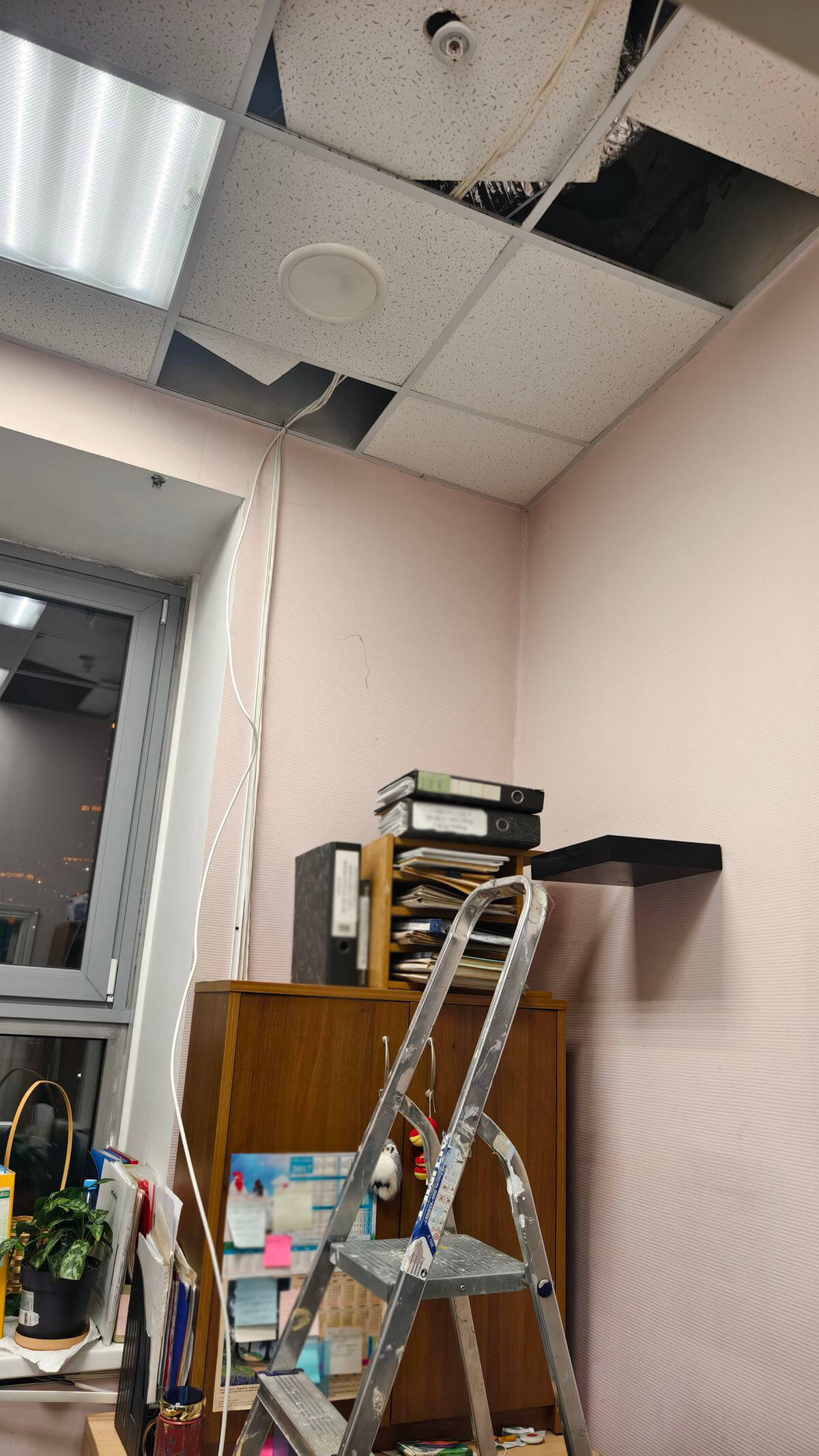 IMG 20251208 203140 1 1 - Подбираем и подключаем камеры на мультигибридный регистратор для большого коридора и для широкого угла обзора