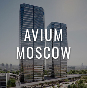 avium1 - Портфолио по созданию веб-сайтов. Наши работы