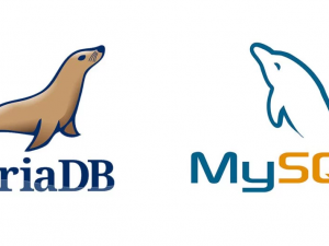 Установка Maria DB на VPS сервер (Ubuntu 16.04, IspManager) вместо MySQL (миграция)