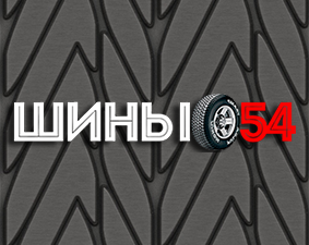 Шины054